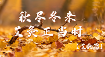 【健康/艾灸】秋盡冬來，艾灸正當(dāng)時(shí)——解鎖季節(jié)交替的養(yǎng)生密碼！